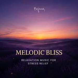 Melodic Bliss relaxation music for stress relief album cover