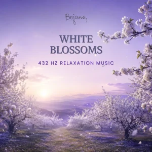 White Blossoms 432 Hz relaxation music album cover